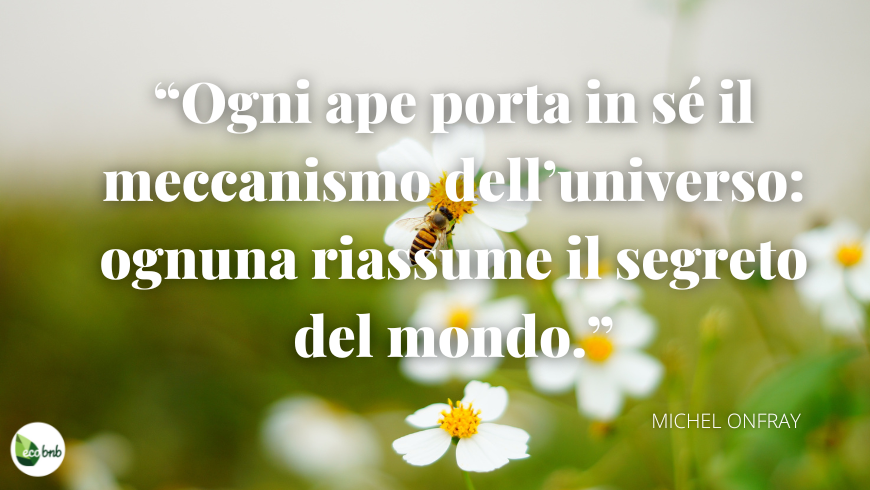 Ogni ape porta in sé il meccanismo dell’universo: ognuna riassume il segreto del mondo.
(Michel Onfray)