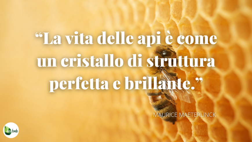 La vita delle api è come un cristallo di struttura perfetta e brillante. Maurice Maeterlinck