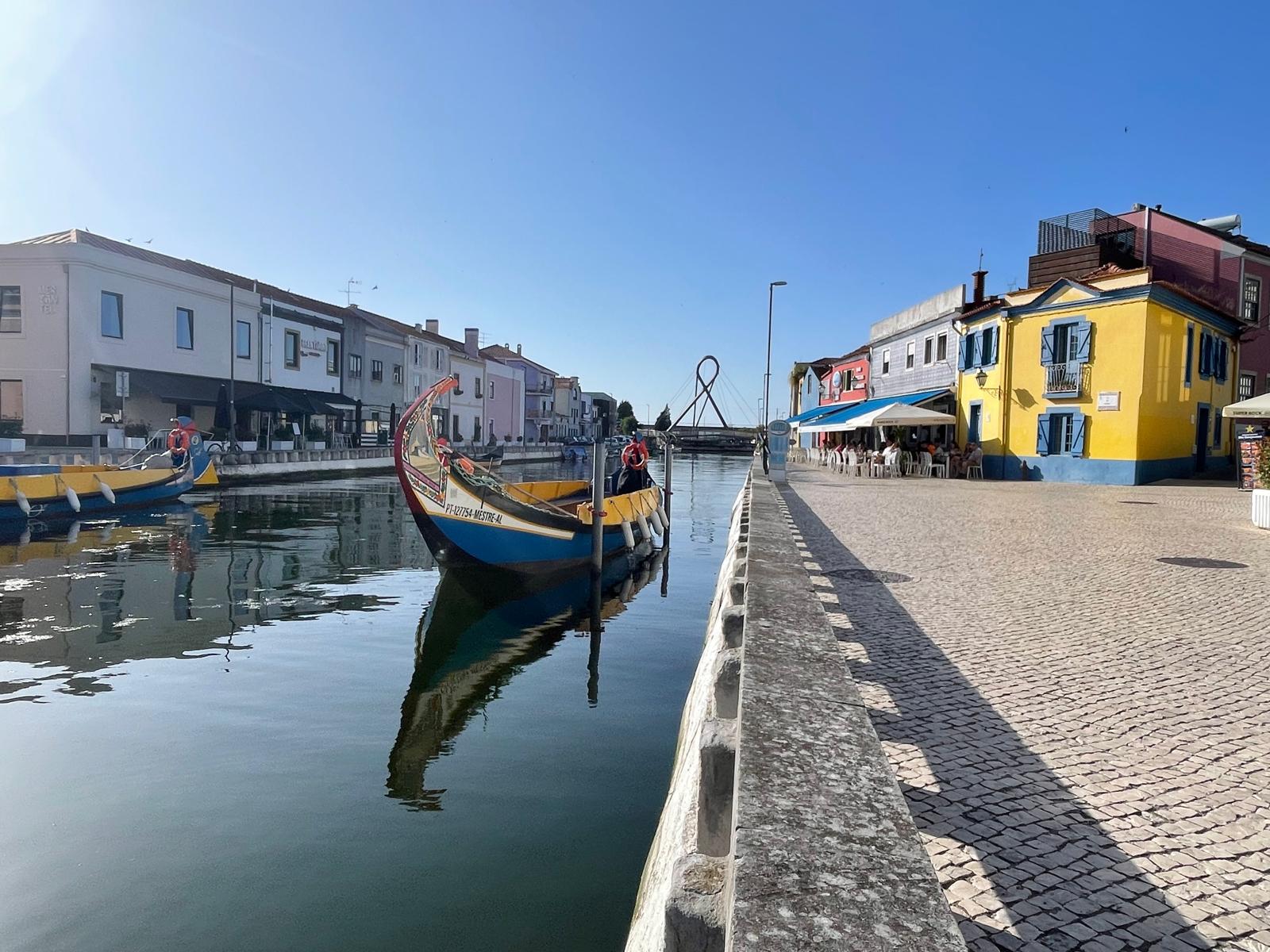 Moliceiro elettrico sul canale