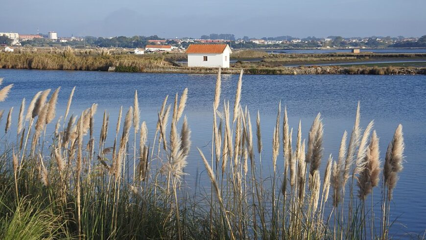 Grande Rota da Ria de Aveiro