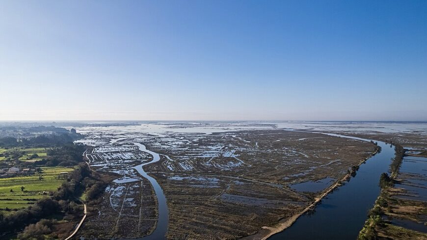 Ria de Aveiro, vista dall'alto