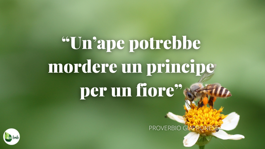 Un’ape potrebbe mordere un principe per un fiore. 
(Proverbio giapponese)