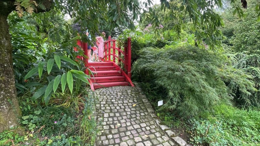 ponte giapponese nel giardino botanico di bayonne