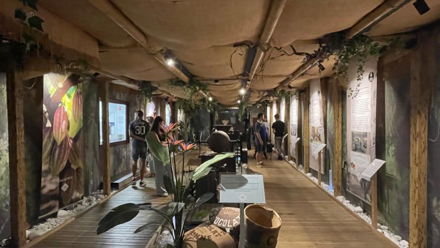 Sale del museo del cioccolato di Bayonna