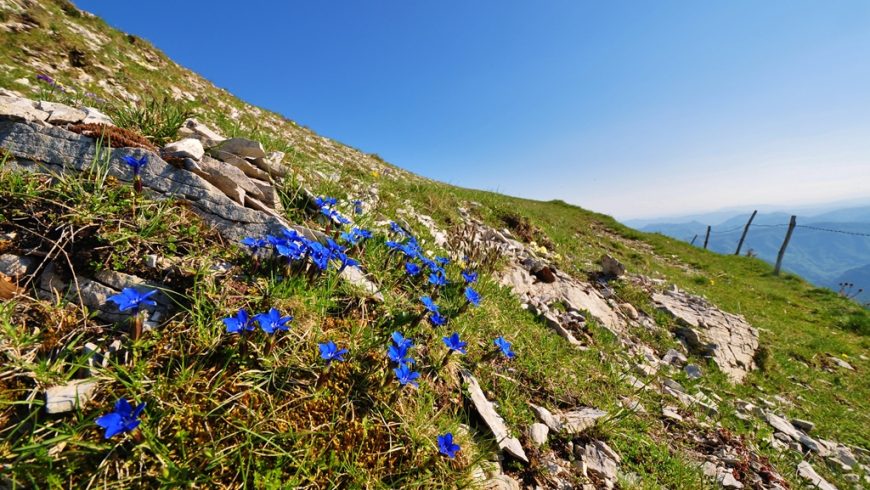 Un weekend per scoprire il Monte Catria: formaggio, birra e trekking tra natura e comunità