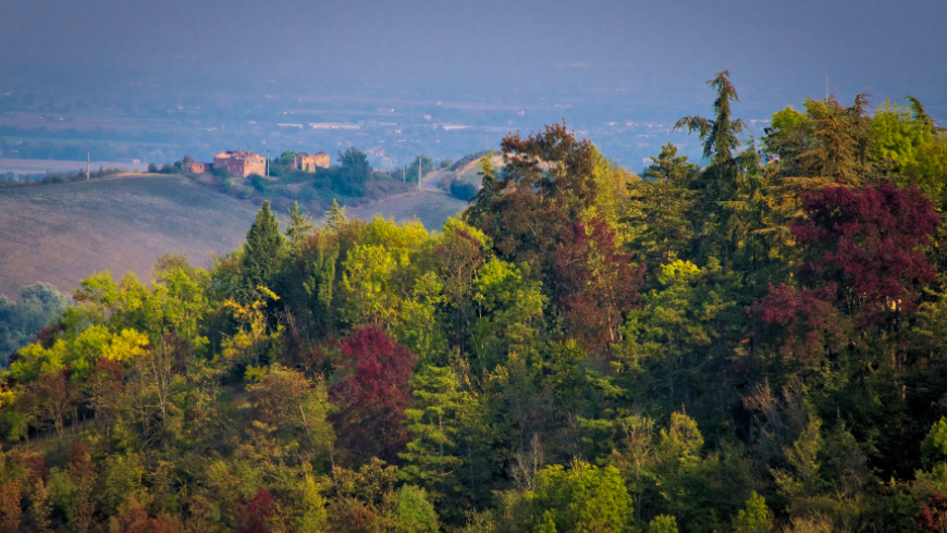 Warna musim gugur antara Bolognese Apennines, Ozzano