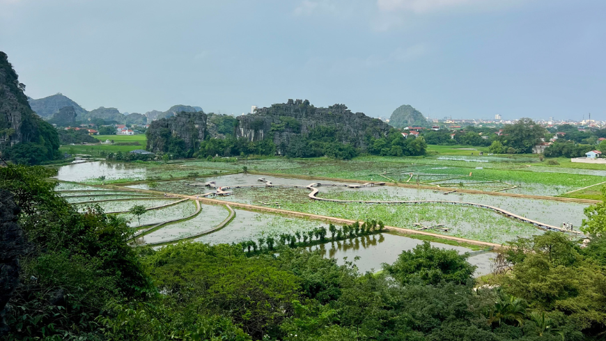 Pemandangan alam, sawah budaya, pertanian lokal