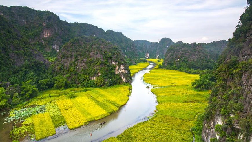 Tam coc, Ninh binh saat musim panen padi