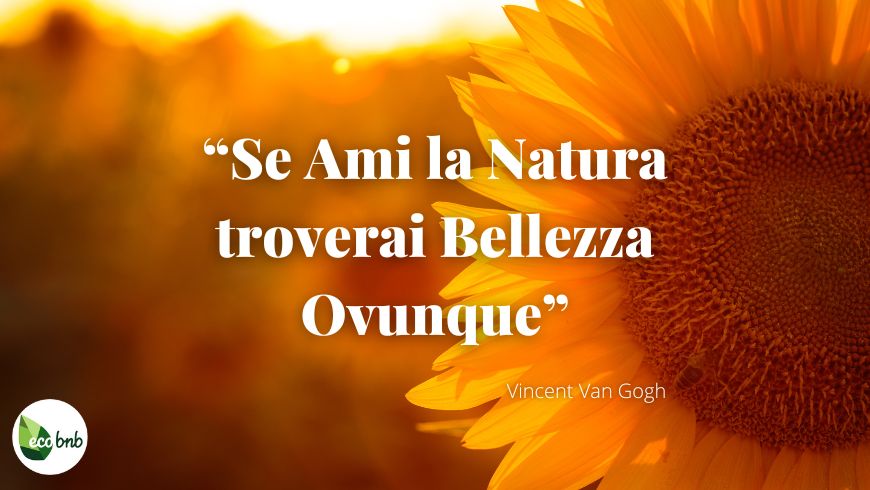 Se ami la natura troverai bellezza ovunque, Vincent Van Gogh