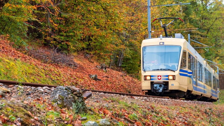 Kereta api melaju di sepanjang rel kereta api di tengah hutan dikelilingi warna dedaunan