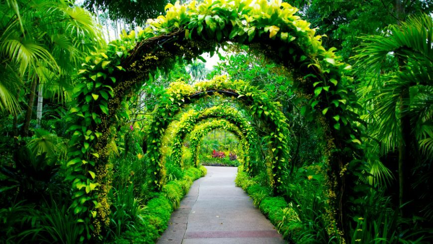 Kebun Raya Singapura