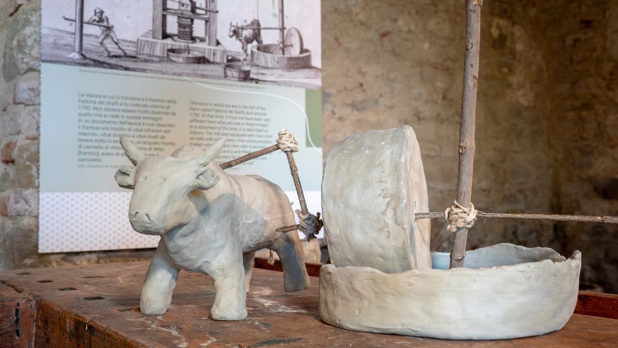 Museo dell'olio a Reggello, Toscana, dettaglio di riproduzione tattile per persone con disabilità visive