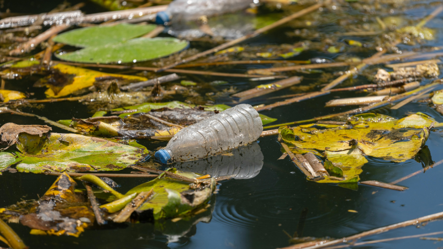ambiente inquinato causa dell'uomo: bottiglia di plastica che galleggia sull'acqua tra le foglie