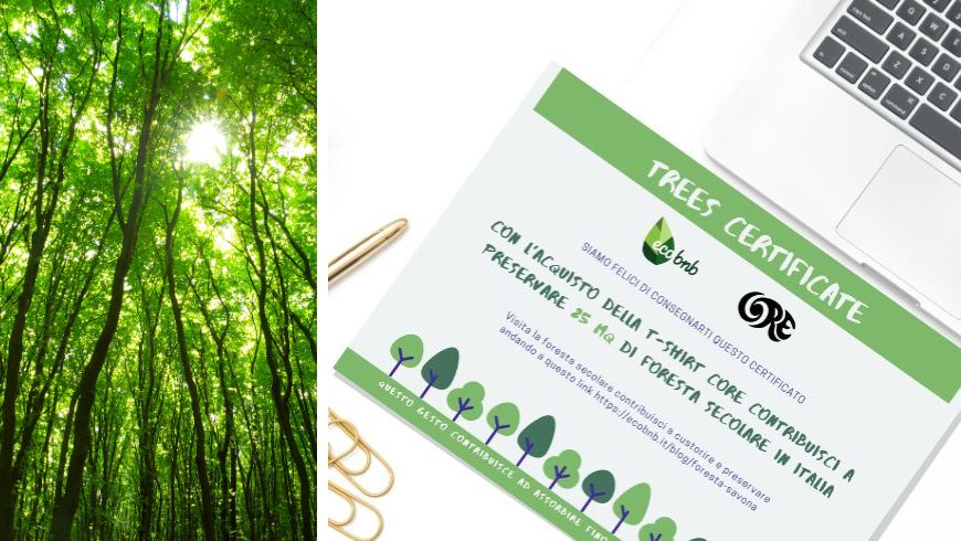 Il certificato core della maglietta che contribuisce a tutelare foreste secolari