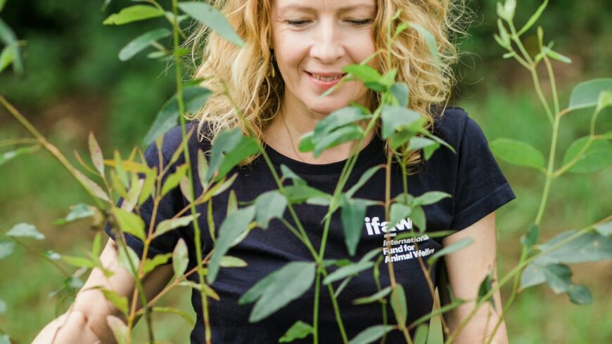 International Fund for Animal Welfare