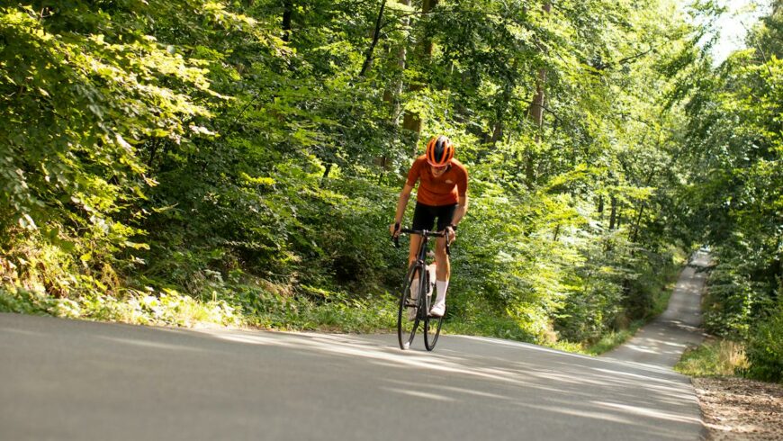 Bicicletta nella Foresta