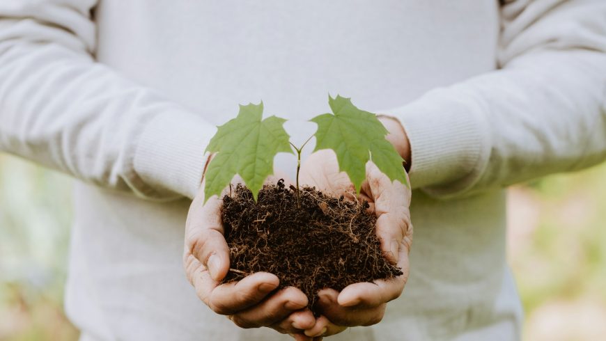Foto di una persona che tiene in mano una piantina e della terra