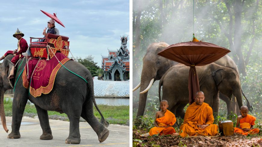 Mahout e elefante in un santuario che promuove il turismo etico con gli elefanti in Thailandia.
