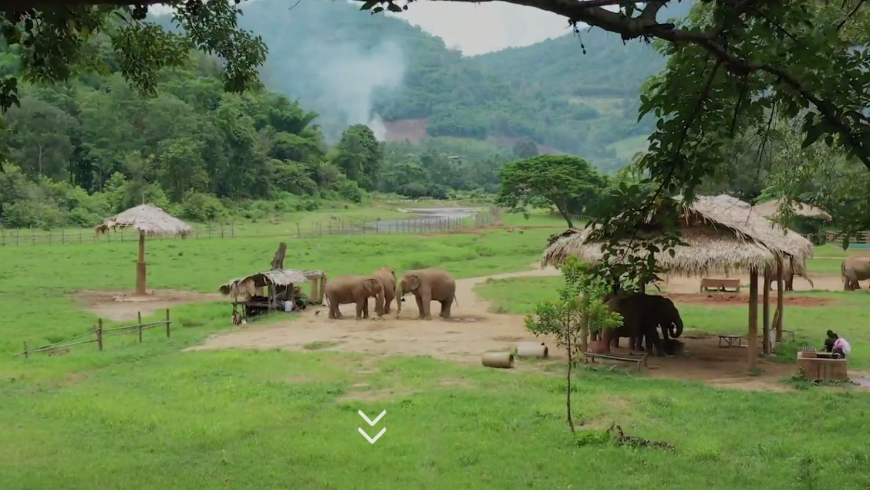 Elephant Nature Park, santuario etico vicino a Chang Mai