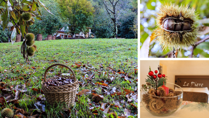 castagne e paesaggio dell'agriturismo Cargador