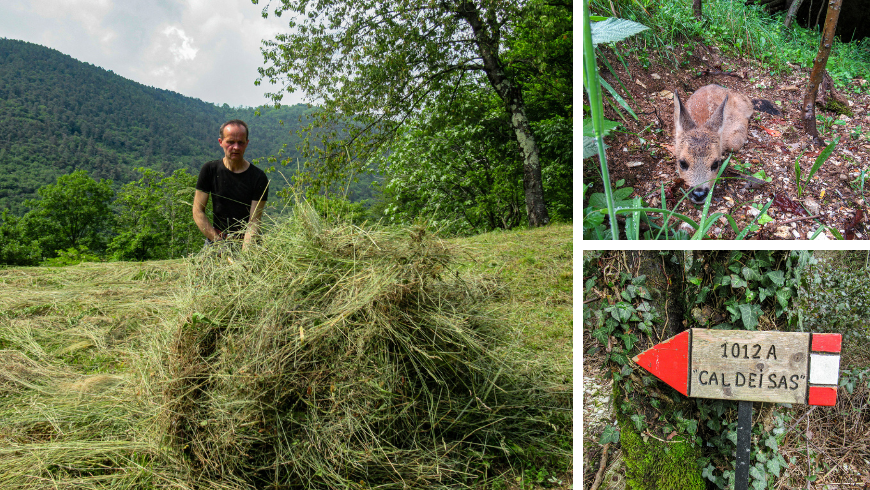 natura incontaminata vicino all'agriturismo Cargador de Ron