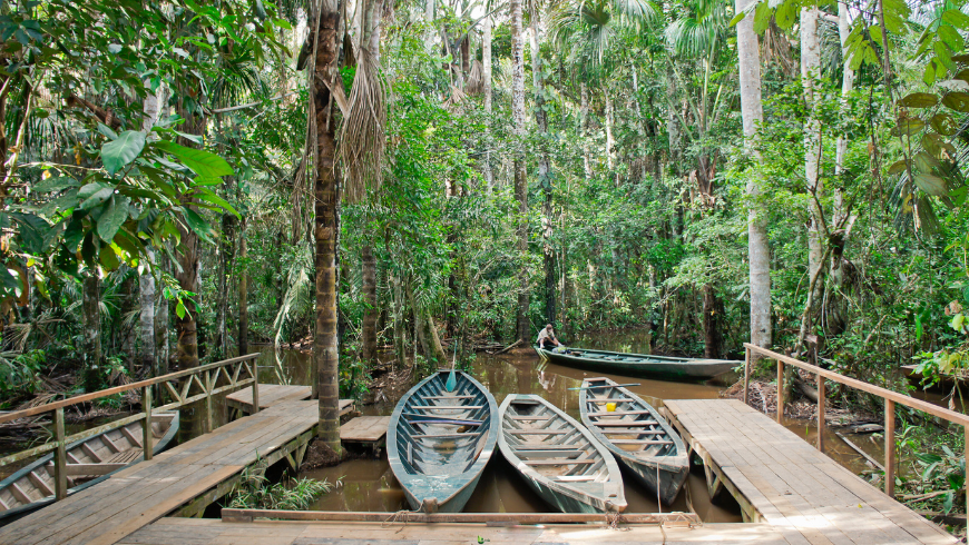Cosa fare nella Riserva Nazionale di Tambopata