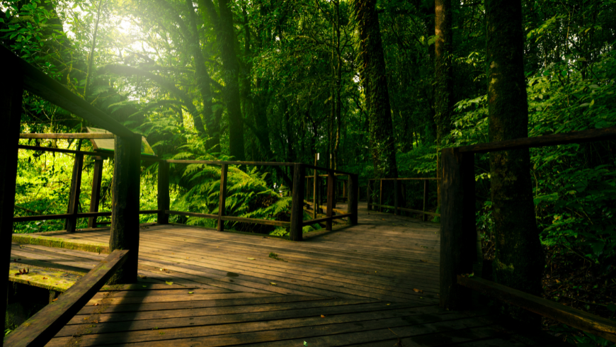 Ecobnb è tra migliori piattaforme di viaggio sostenibile, una valida alternativa ai grandi portali del turismo