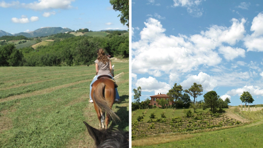 passeggiata con cavallo e distese di verde
