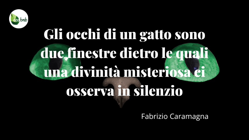 citazione di Fabrizio Caramagna accompagnata da un gatto, che guarda con curiosità e mistero. Perfetta per articoli, post social o contenuti dedicati ai gatti e al loro fascino enigmatico, sottolineando l’eleganza e la profondità dello sguardo felino.