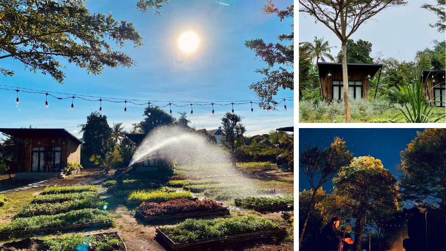 Organic Garden at Paksong farmstay in rural Vietnam