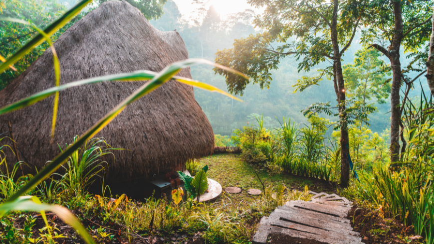 Organic garden at Paksong farmstay in rural Vietnam