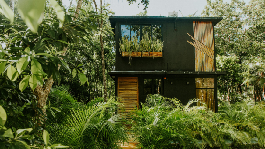 Sustainable eco house surrounded by tropical plants
