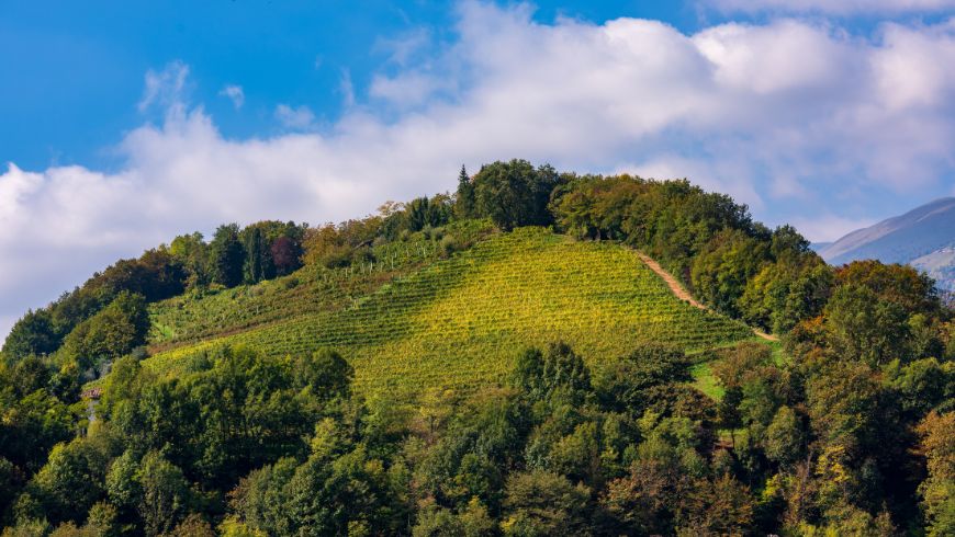 la via delle colline di Valdobbiadene