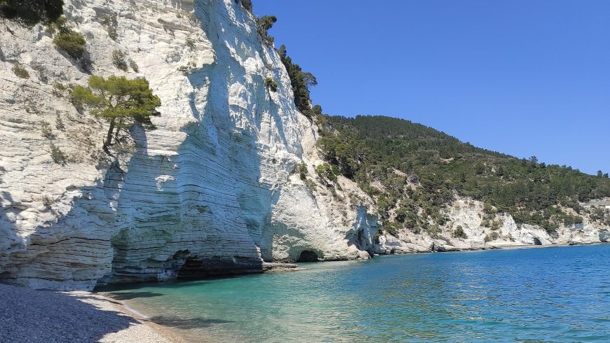 Veduta della spiaggia di Vignanotica, caratterizzata da ciottoli chiari, acque cristalline e scogliere calcaree che incorniciano il litorale. L’immagine evidenzia la bellezza naturale e incontaminata della costa garganica, sottolineando l’importanza turistica e ambientale dell’area.