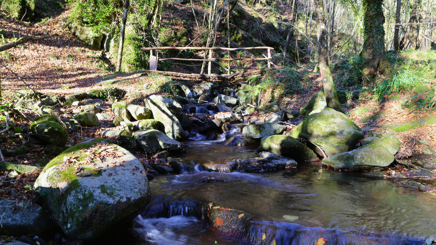 Cosa fare nel Parco Nazionale delle Foreste Casentinesi