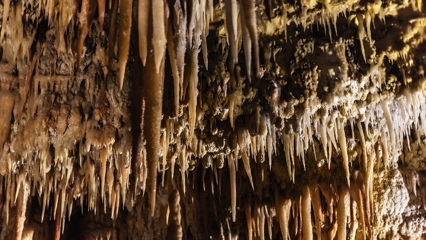 Castellana Grotte, meta imperdibile durante il tuo viaggio nelle Murge meridionali della Puglia