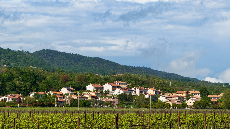 Camminare nel verde del Montello