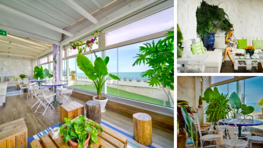 Piante verdi che decorano il Bio Hotel Select Suite & Spa a Riccione. 