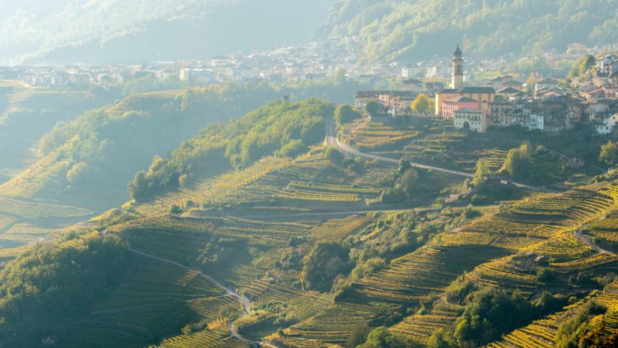 paesaggio della Val di Cembra, Faver