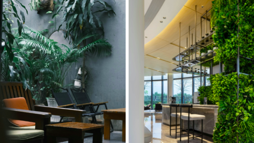 Esempi di indoor greenery per hotel e B&B in hall e luoghi comuni.