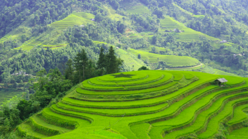 Paesaggio collinare verde da ammirare durante il viaggio in treno in Vietnam. 