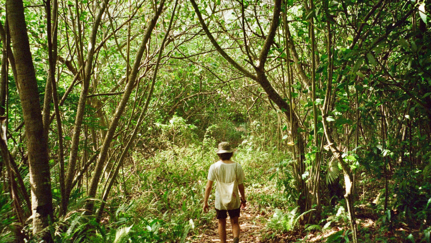 Pasturo e dintorni: trekking in Valsassina