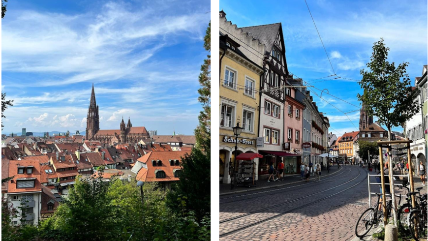 Freiburg: la Green City europea verde vista dall'alto e percorso ciclabile