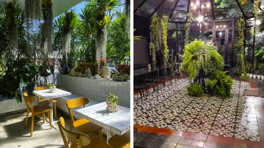 Esempi di verde indoor:  piante verdi decorano luoghi comuni dove mangiare e rilassarsi.