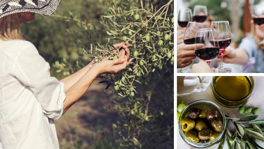 olive, vino, olio e formaggi dell'Alta Campania