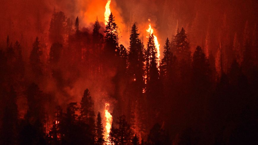 violenza climatica, incendio di un bosco, sempre più frequente a causa dei cambiamenti climatici