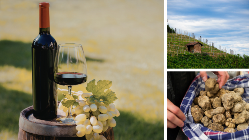 Vino rosso e tartufo bianco e vigneti