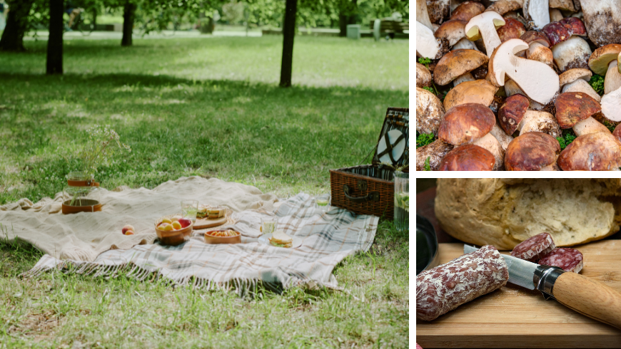 Picnic, funghi porcini e salame
