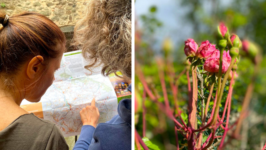 mappa dei sentieri del territorio e fiori rosa del giardino 
