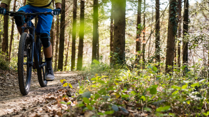 Itinerari in mountain bike a Merano e dintorni 